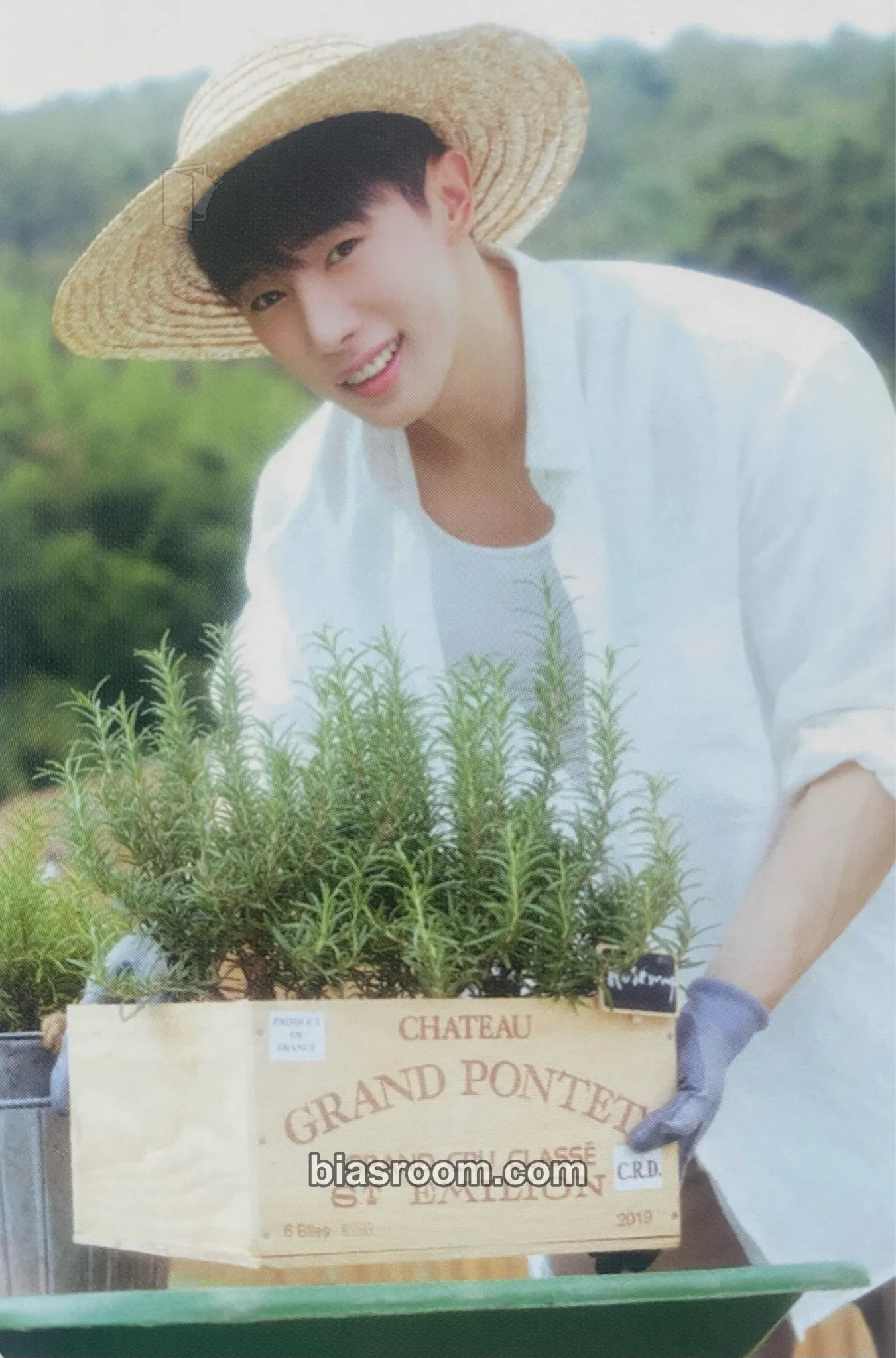 Wonho 2026 Season's Greetings - HOHO Market Photocard - Wonho K-pop photocard