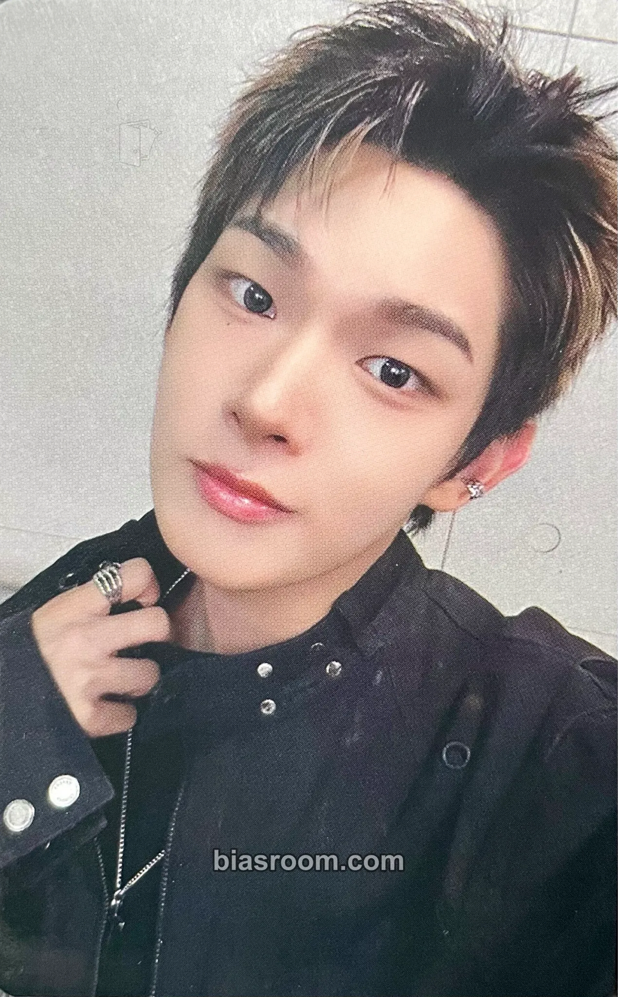 Steven Photocards (AHOF) | Bias Room