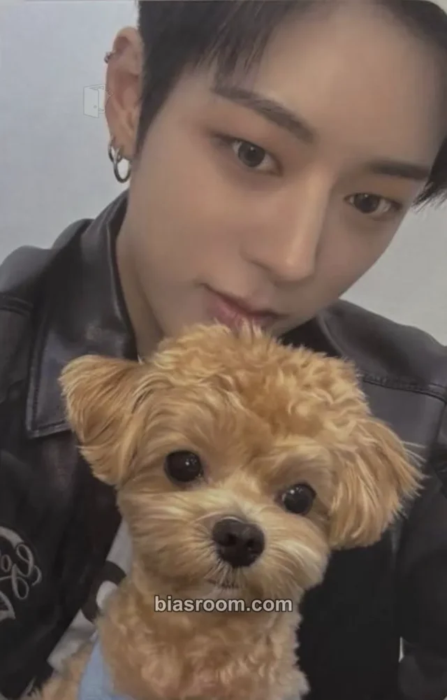 NOWZ - Jinhyuk - PLAY BALL Album ktown4u video call (fancall) round 3