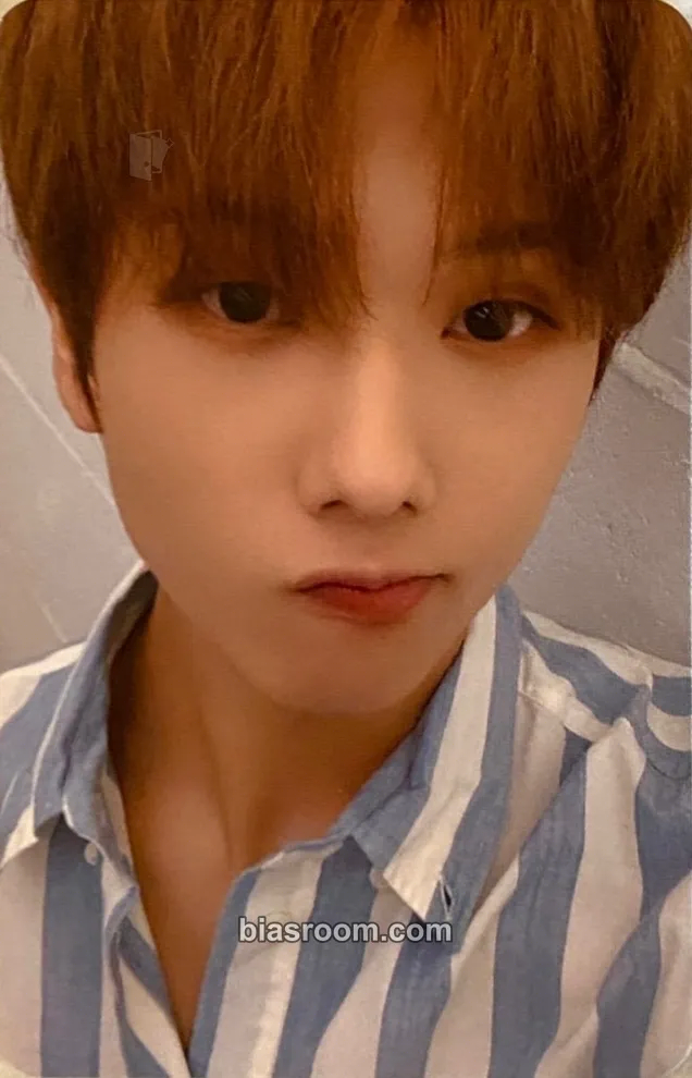 Jisung 2022 Season’s Greetings Photocard - NCT DREAM - NCT DREAM K-pop photocard