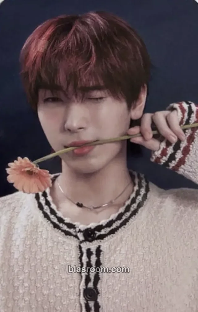 VAY ONN - Sen - 2025 iNKODE Fanmeeting 'N.A.V.Y : New And Vibrant Youth' Event trading card