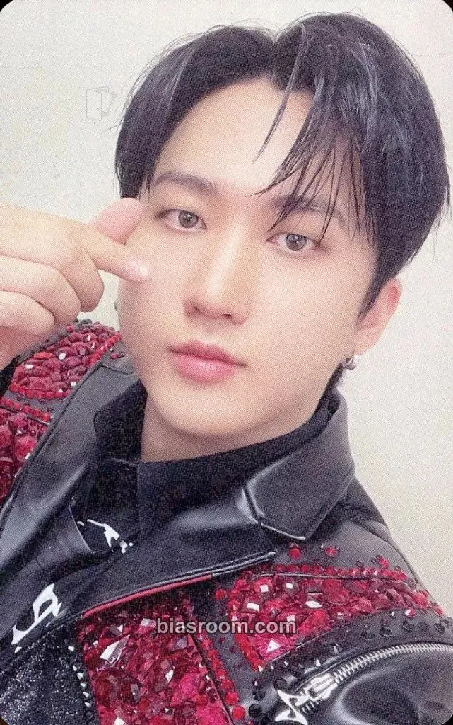 Changbin 5-STAR Dome Tour 2023 Blu-ray Photocard - Stray Kids - Stray Kids K-pop photocard
