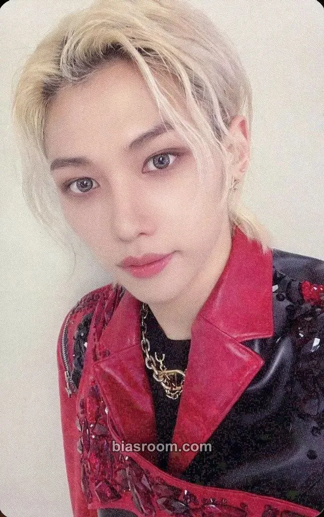 Felix 5-STAR Dome Tour 2023 Blu-ray Photocard - Stray Kids - Stray Kids K-pop photocard