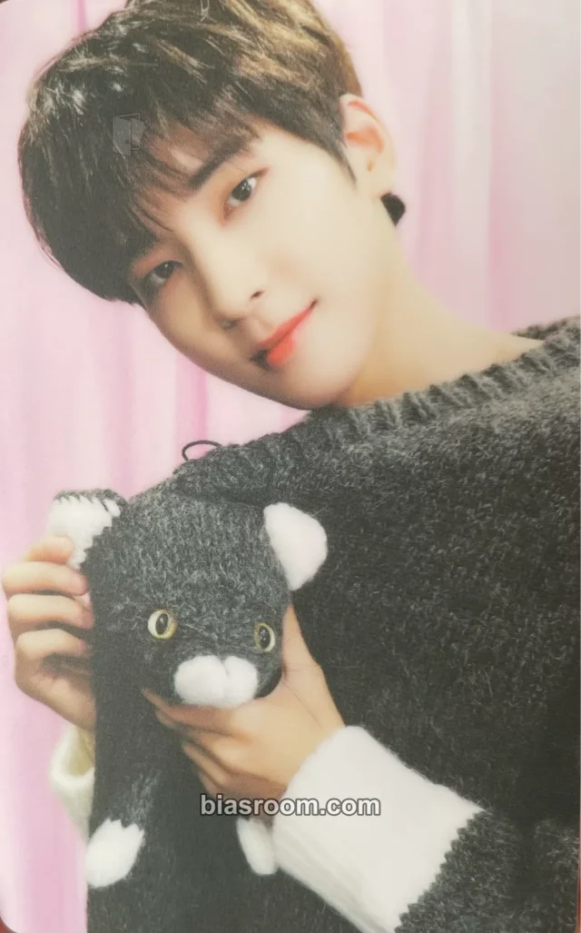SEVENTEEN - Wonwoo - DICON D’Festa Mini Edition Other dicon special card