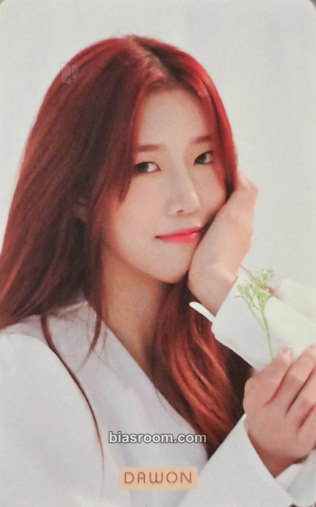 Dawon WJSN 2019 Season's Greetings Photocard - WJSN - WJSN K-pop photocard