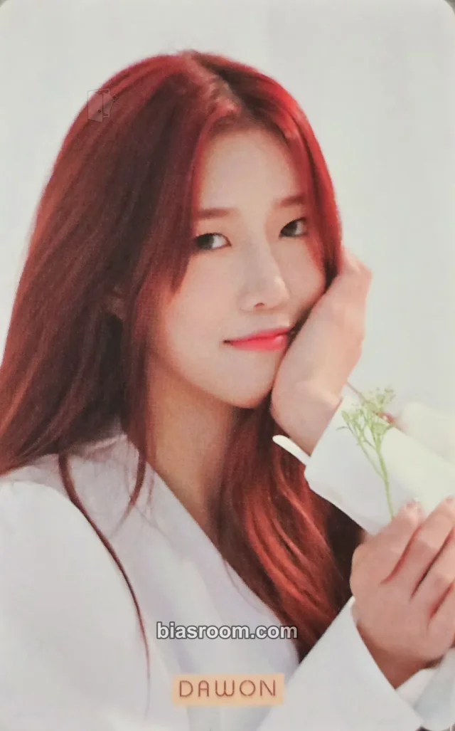 WJSN - Dawon - WJSN 2019 Season's Greetings Other starship square (ssq) pob (pre-order benefit) season's greetings
