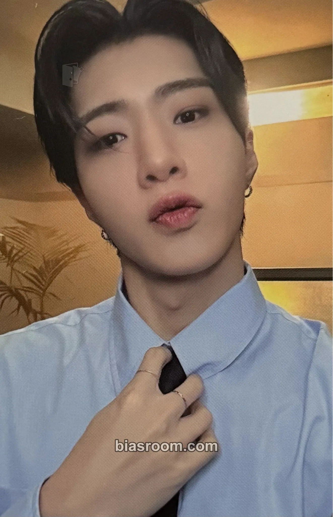 Wyatt ONF: MY IDENTITY Photocard - ONF - ONF K-pop photocard