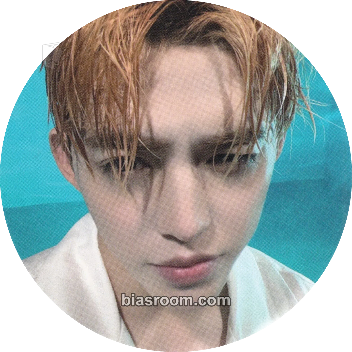 S.Coups Spill the Feels Photocard - SEVENTEEN - SEVENTEEN K-pop photocard