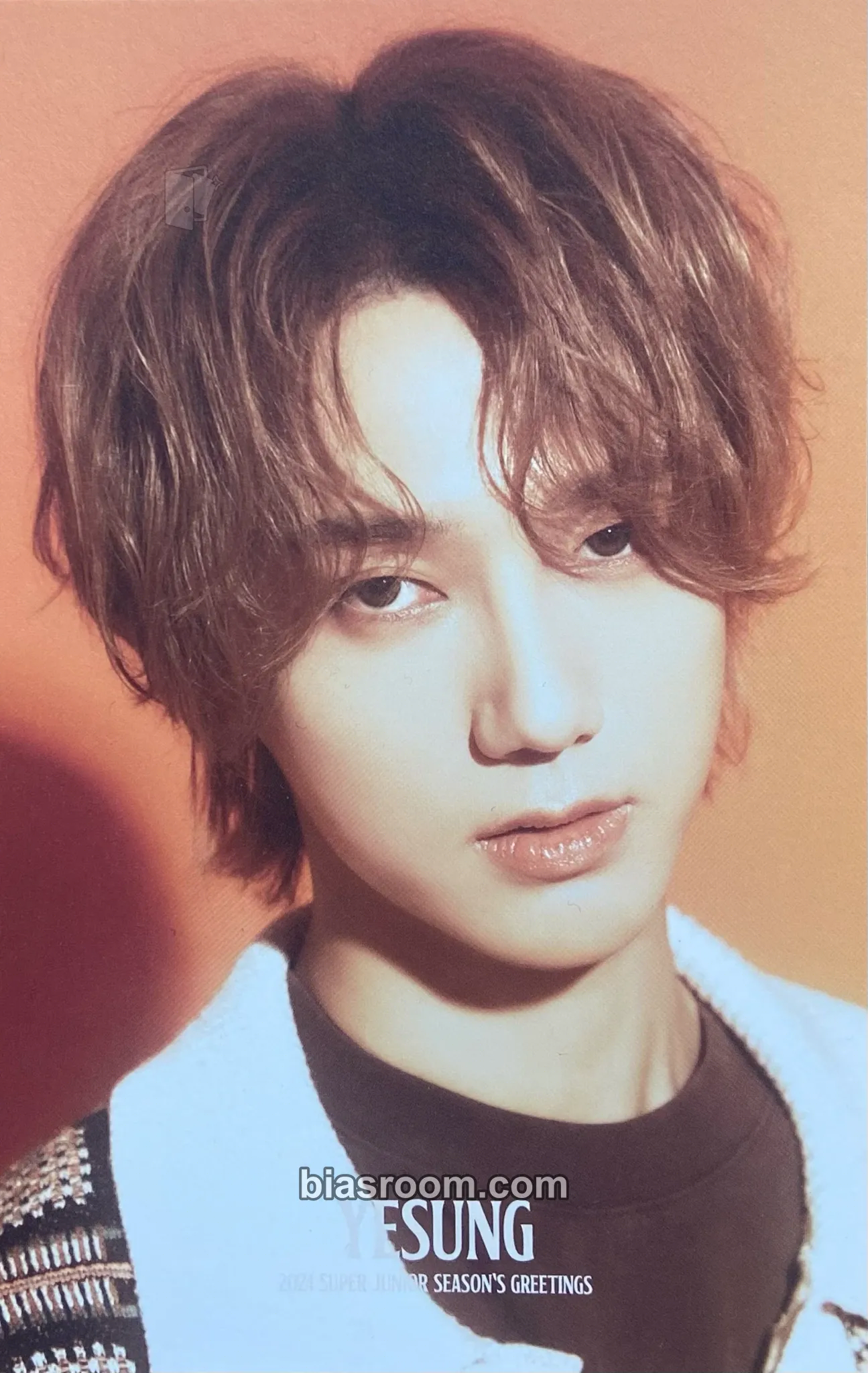 Yesung 2024 Season's Greetings Photocard - SUPER JUNIOR - SUPER JUNIOR K-pop photocard