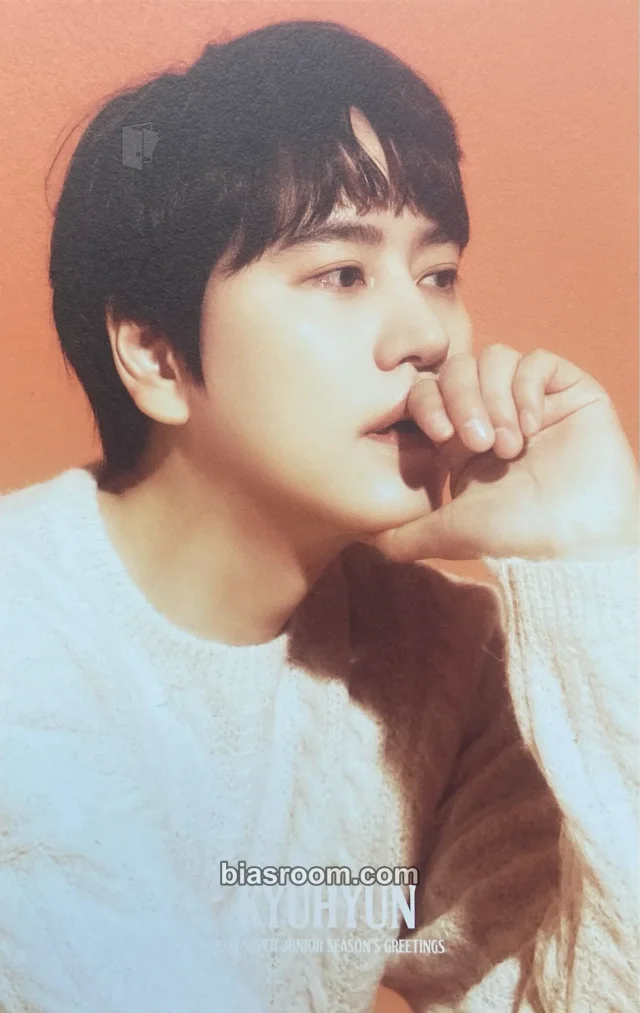 SUPER JUNIOR - Kyuhyun - 2024 Season's Greetings Other season's greetings postcard set kit inclusion