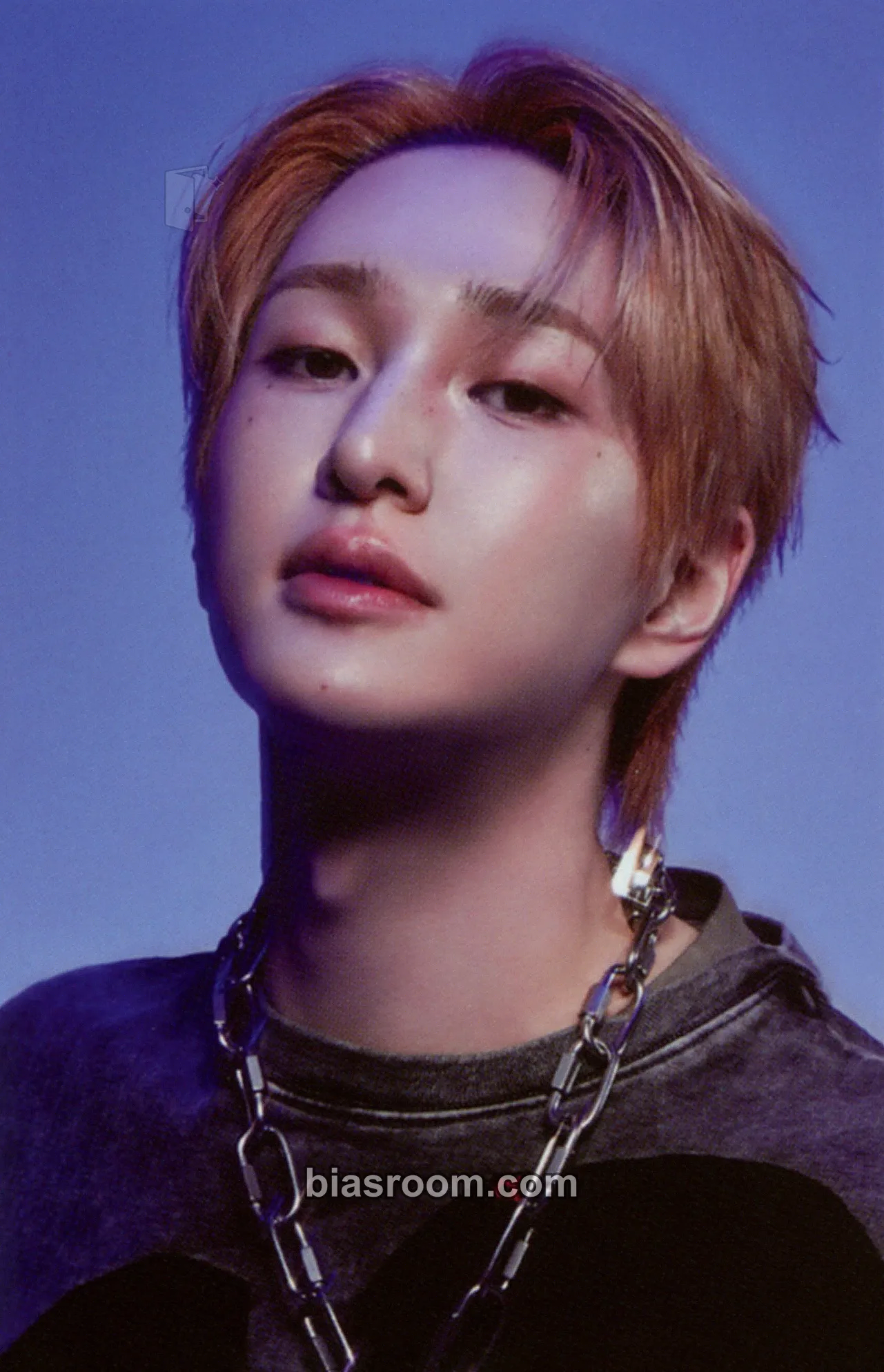 Onew SHINee 2026 Season's Greetings Photocard - SHINee - SHINee K-pop photocard