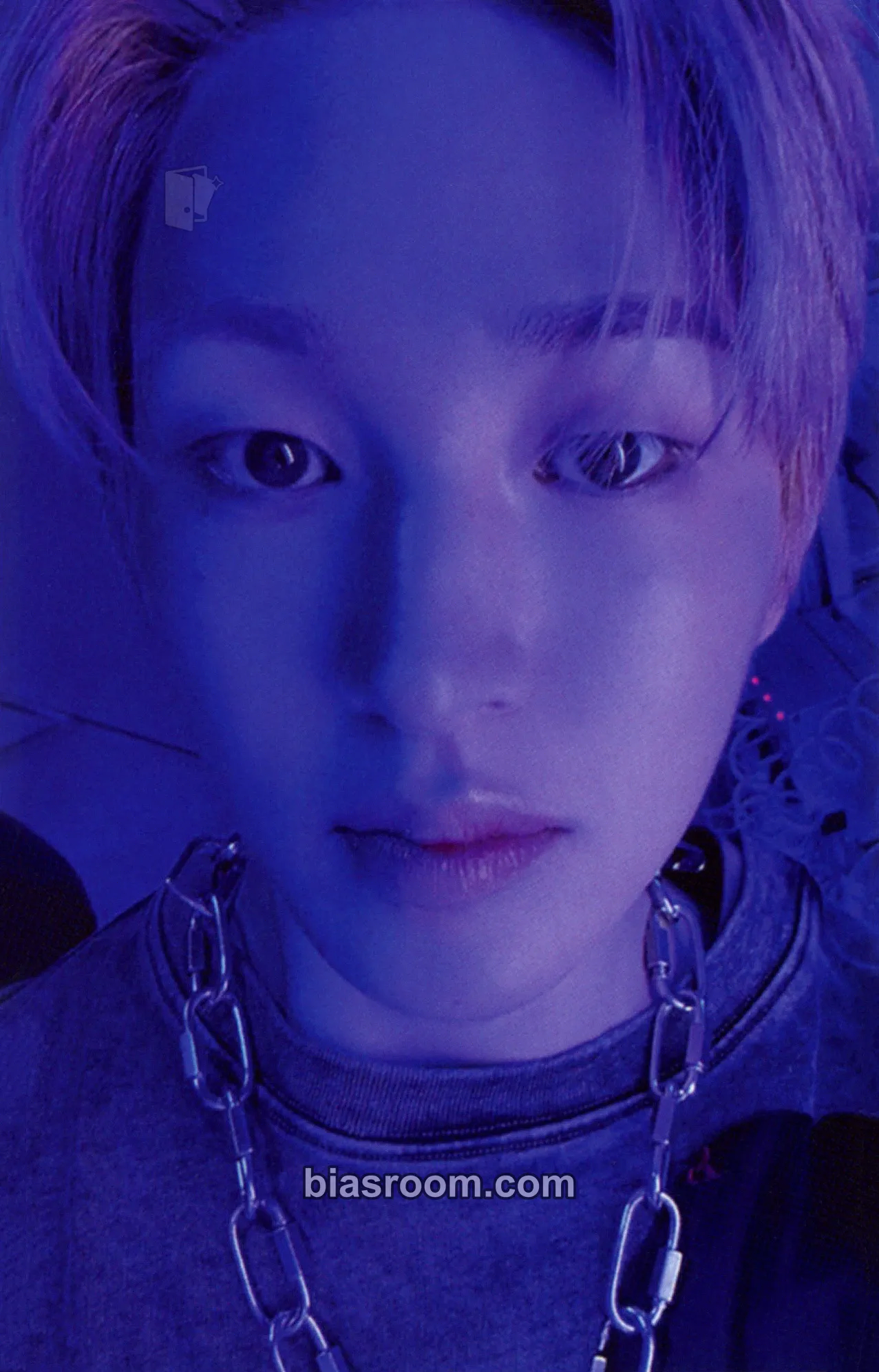 Onew SHINee 2026 Season's Greetings Photocard - SHINee - SHINee K-pop photocard
