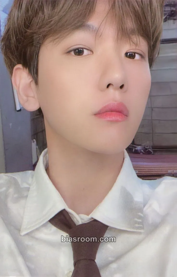 Baekhyun 2021 EXO Season's Greetings Photocard - EXO - EXO K-pop photocard