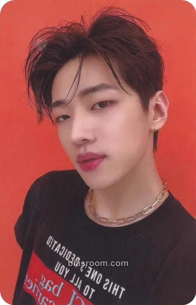 DKZ - Jaechan - Healing Bird (Jaechan) Other purchase benefit brand collaboration double-sided