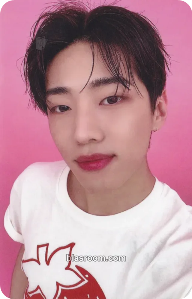 DKZ - Jaechan - Healing Bird (Jaechan) Other purchase benefit brand collaboration double-sided