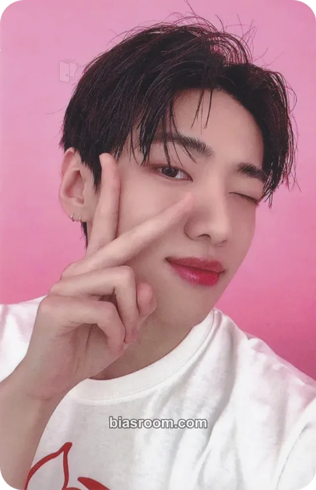 DKZ - Jaechan - Healing Bird (Jaechan) Other purchase benefit brand collaboration double-sided