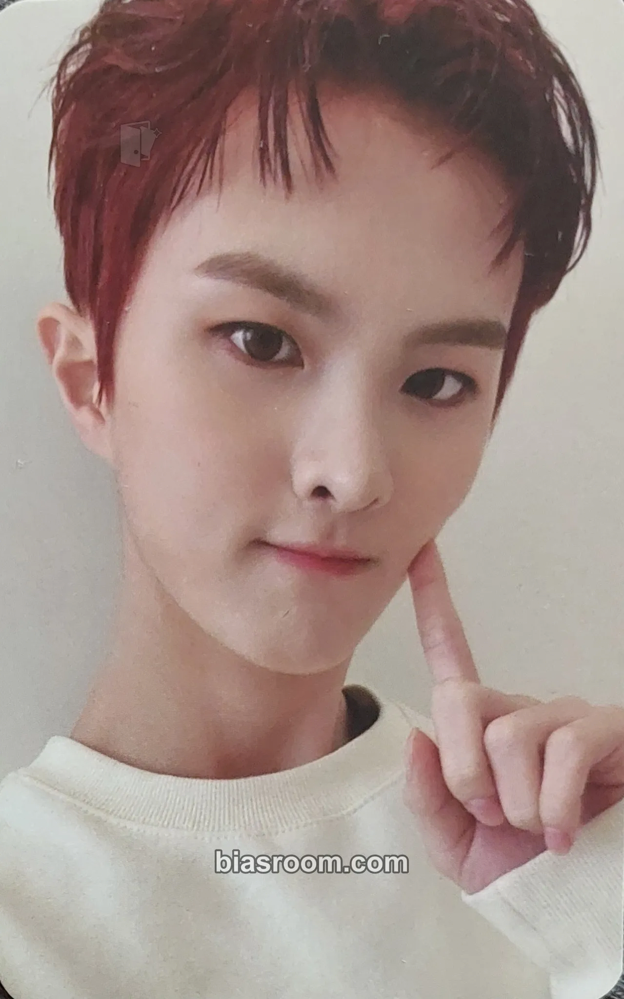 Ivan History of Kingdom : PartⅣ. Dann Photocard - The KingDom - The KingDom K-pop photocard