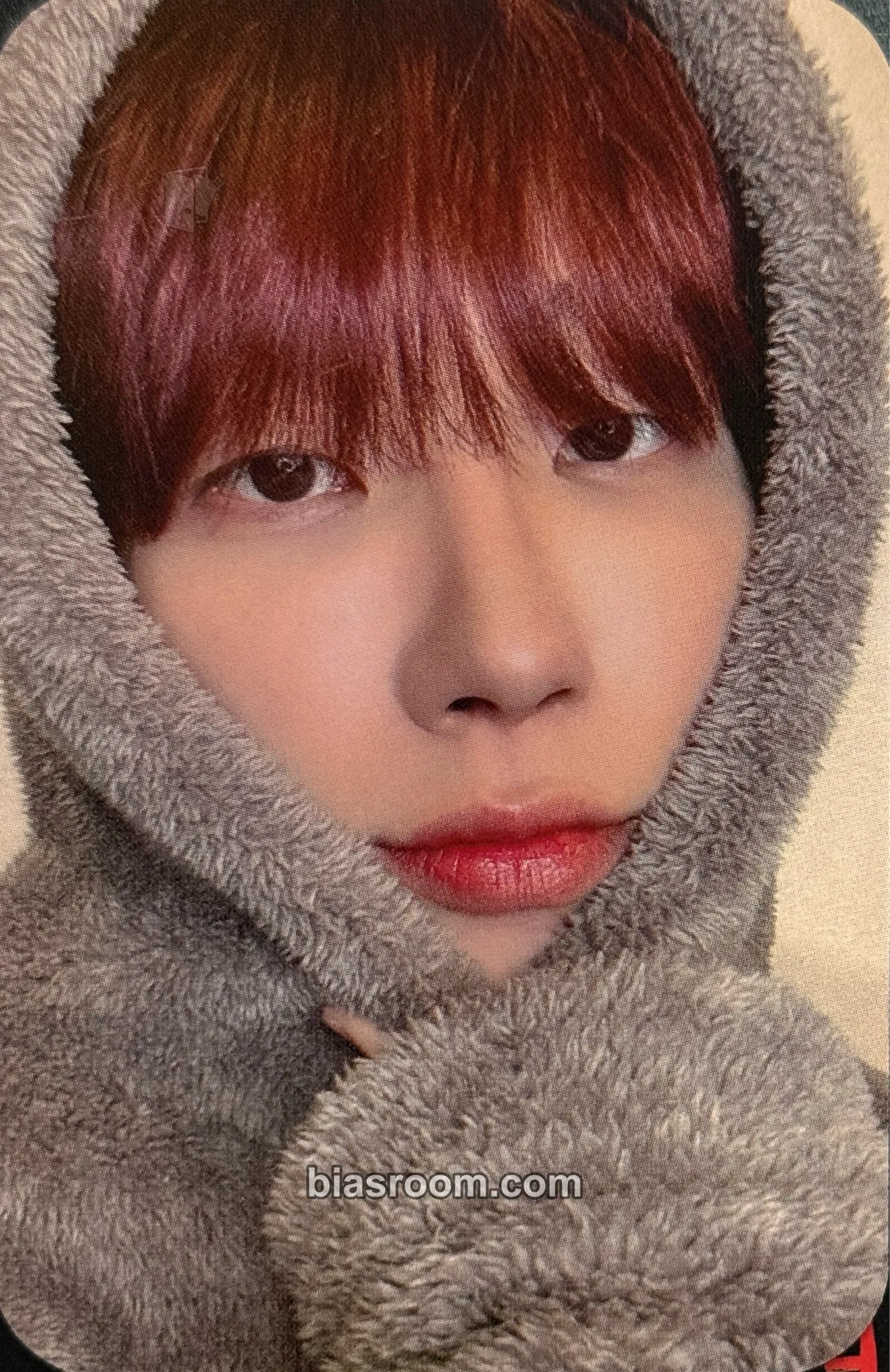Siwoo CRESCENT Photocard - Daychild - Daychild K-pop photocard