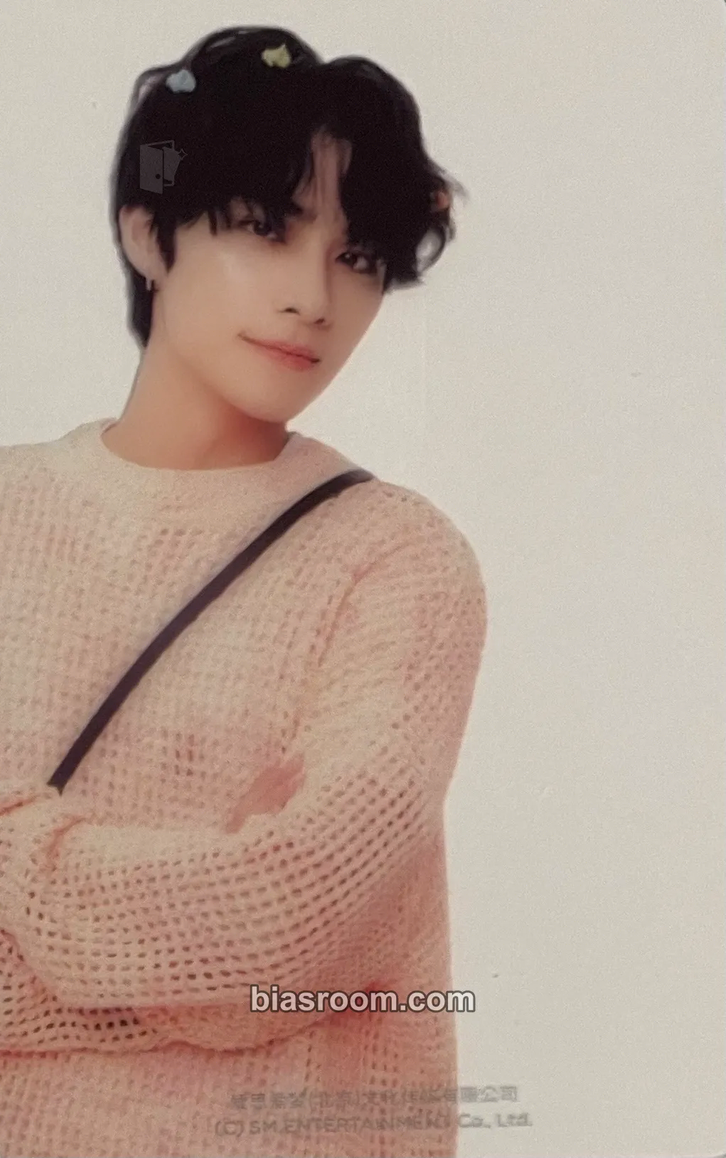 Xiaojun 2024 Season's Greetings Photocard - WayV - WayV K-pop photocard