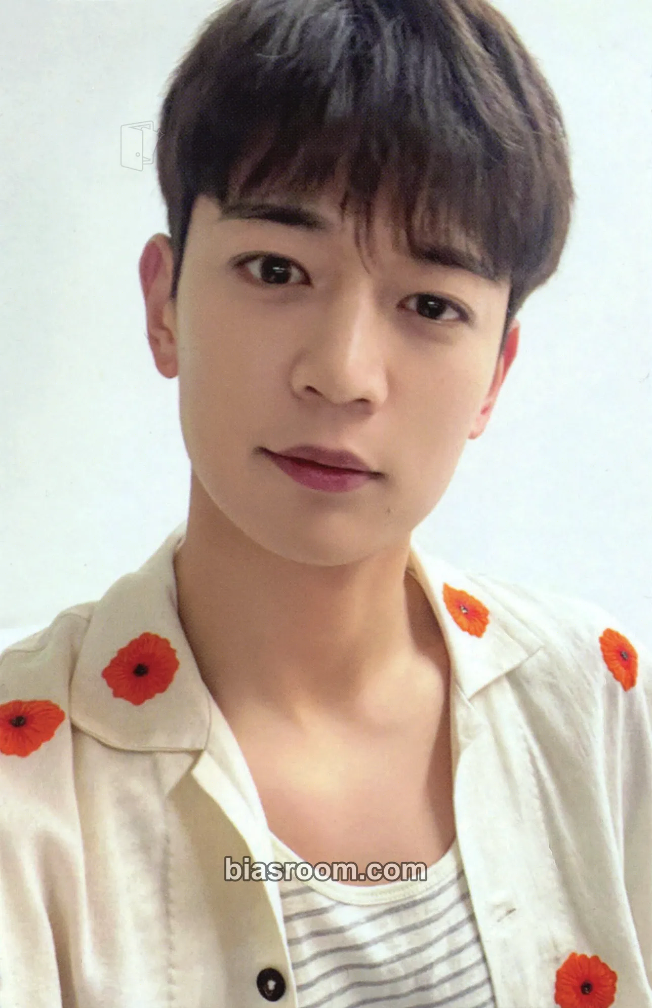 Minho SHINee 2024 Season's Greetings Photocard - SHINee - SHINee K-pop photocard