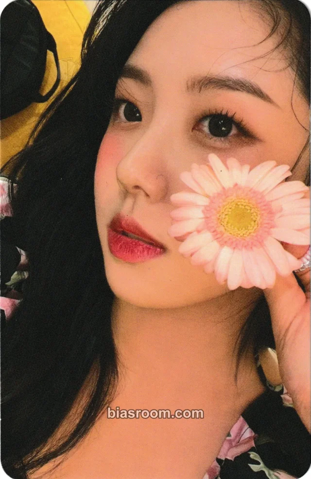 Alice - Karin - Dance On Album album photocard