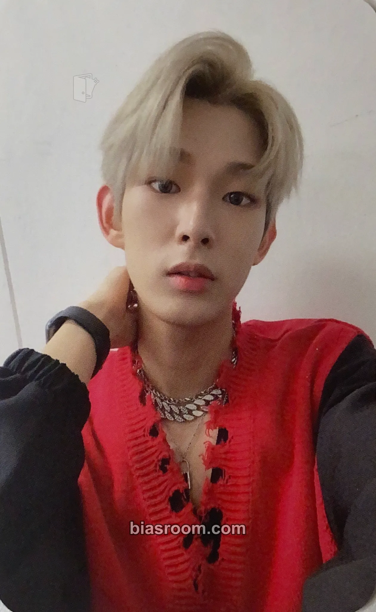 Steven Photocards (AHOF) | Bias Room