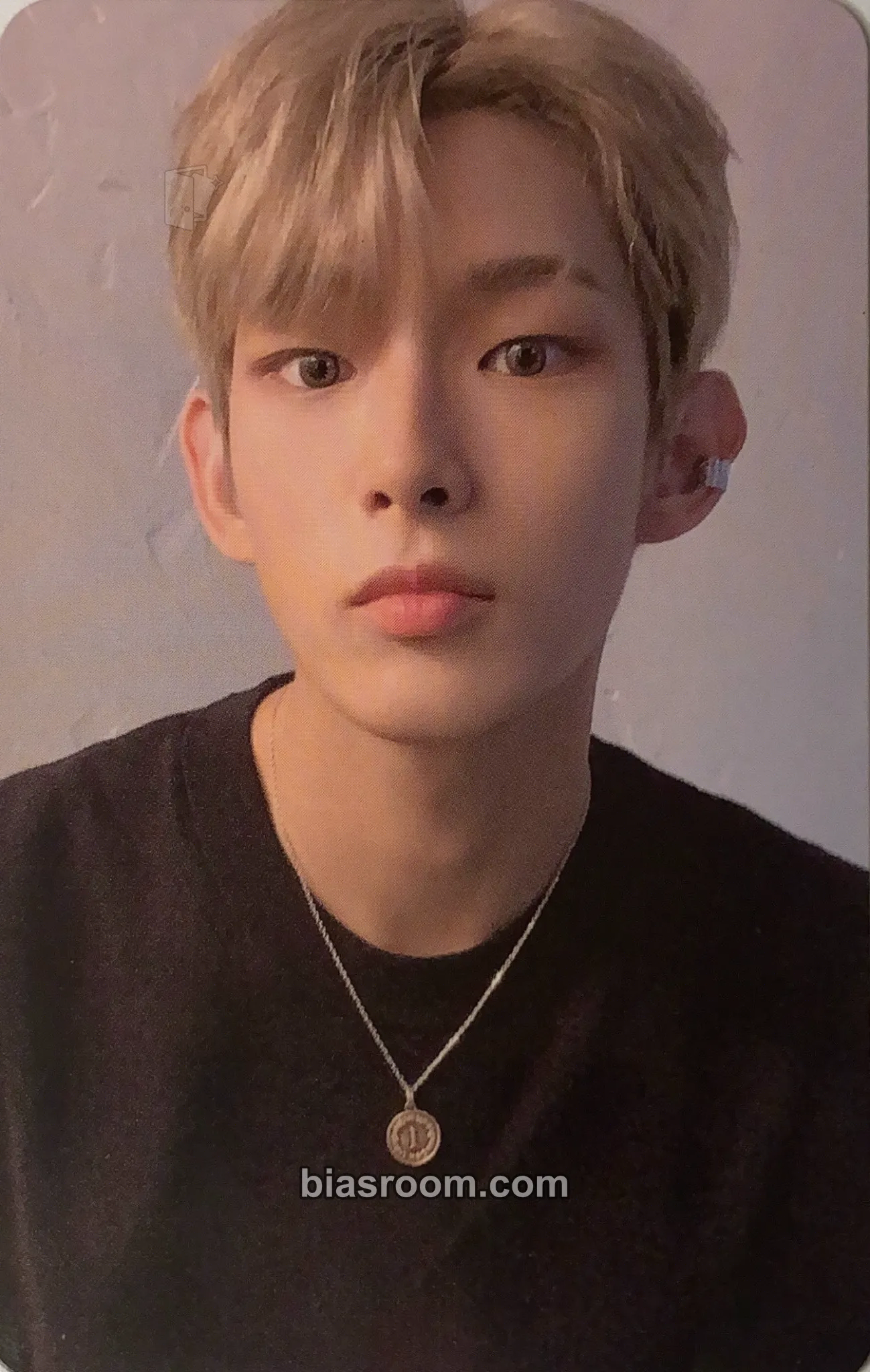 Steven Photocards (AHOF) | Bias Room