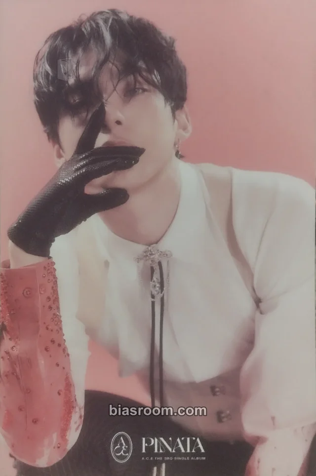 A.C.E - Park Junhee - PINATA Album album inclusion postcard