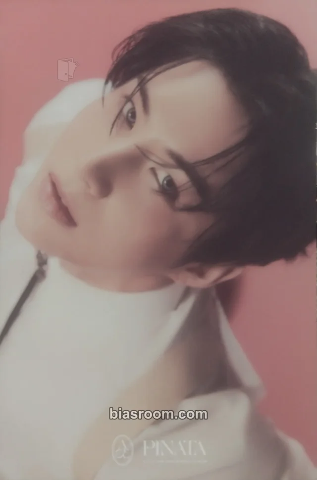 A.C.E - Wow - PINATA Album album inclusion postcard