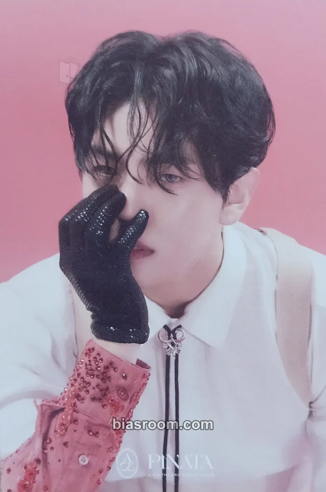 A.C.E - Lee Jiham - PINATA Album album inclusion postcard