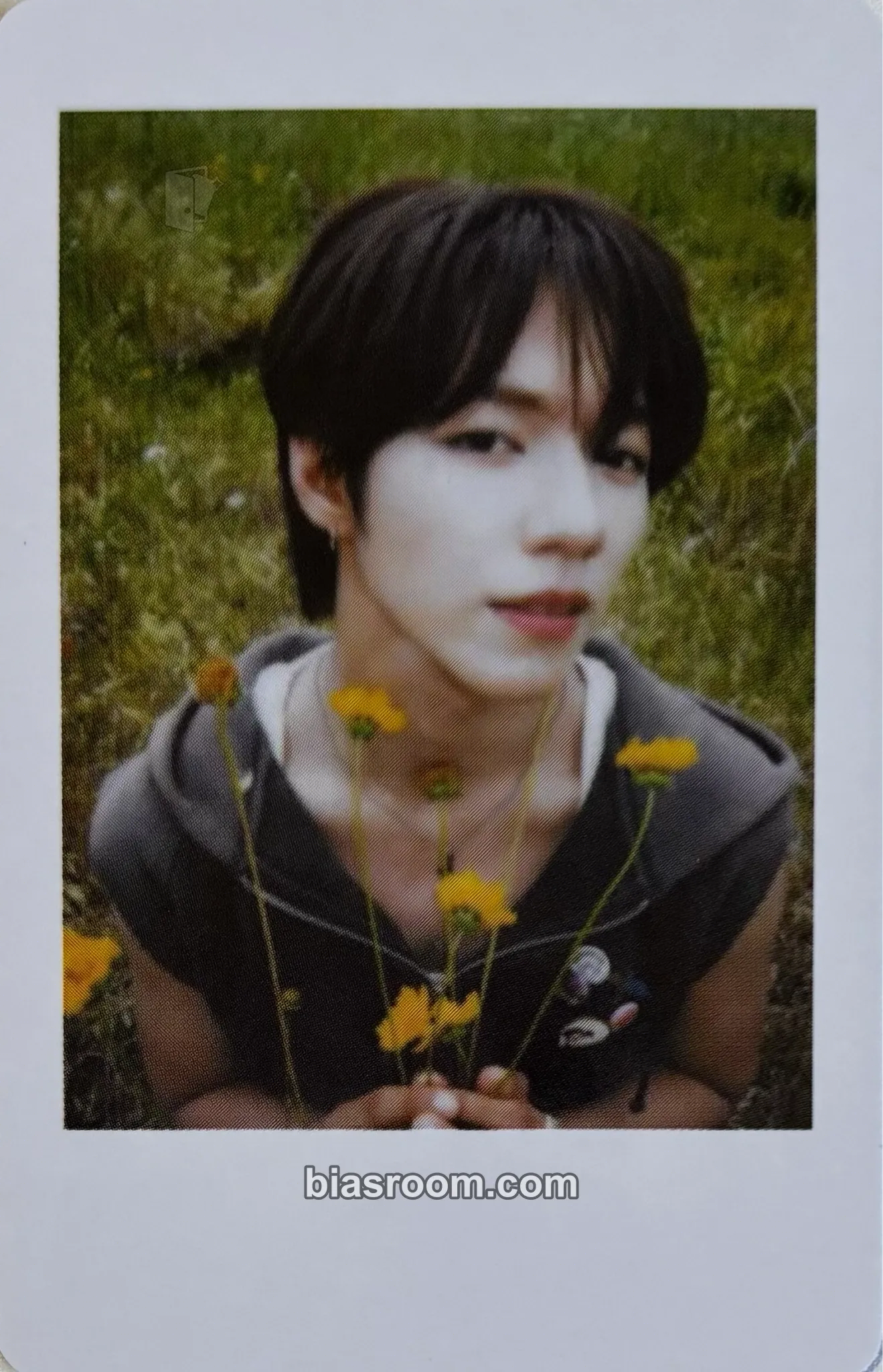JL WHO WE ARE Photocard - AHOF - AHOF K-pop photocard