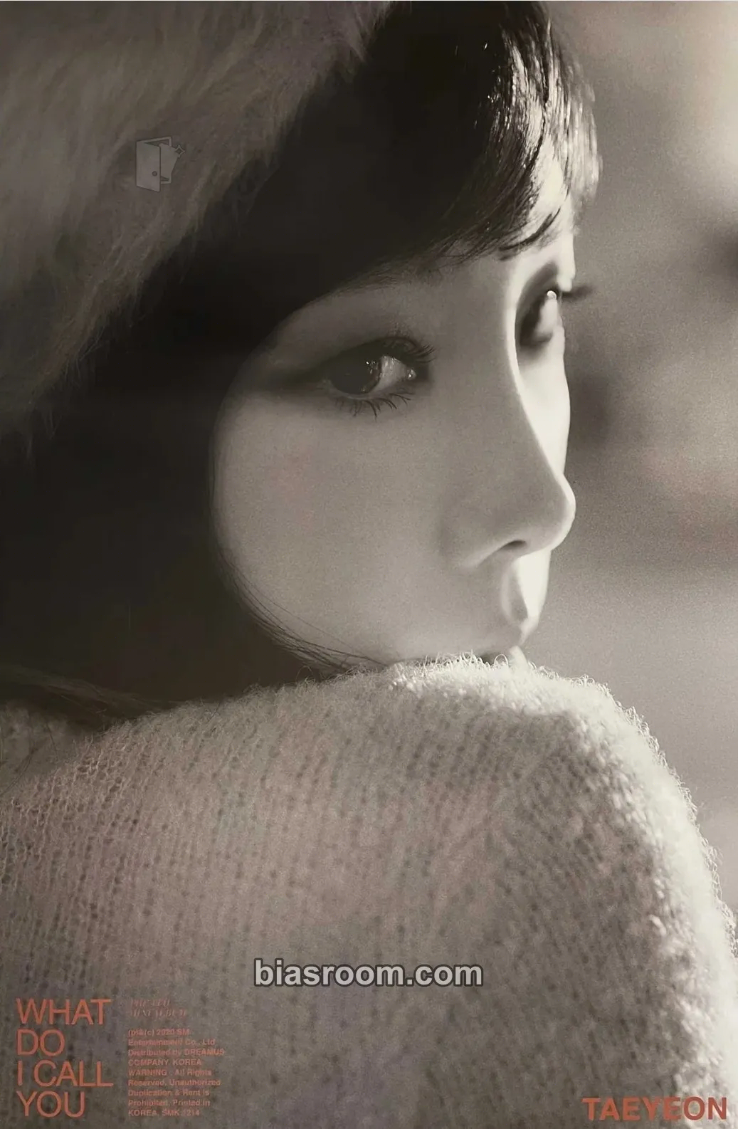 Taeyeon What Do I Call You Photocard - Taeyeon K-pop photocard