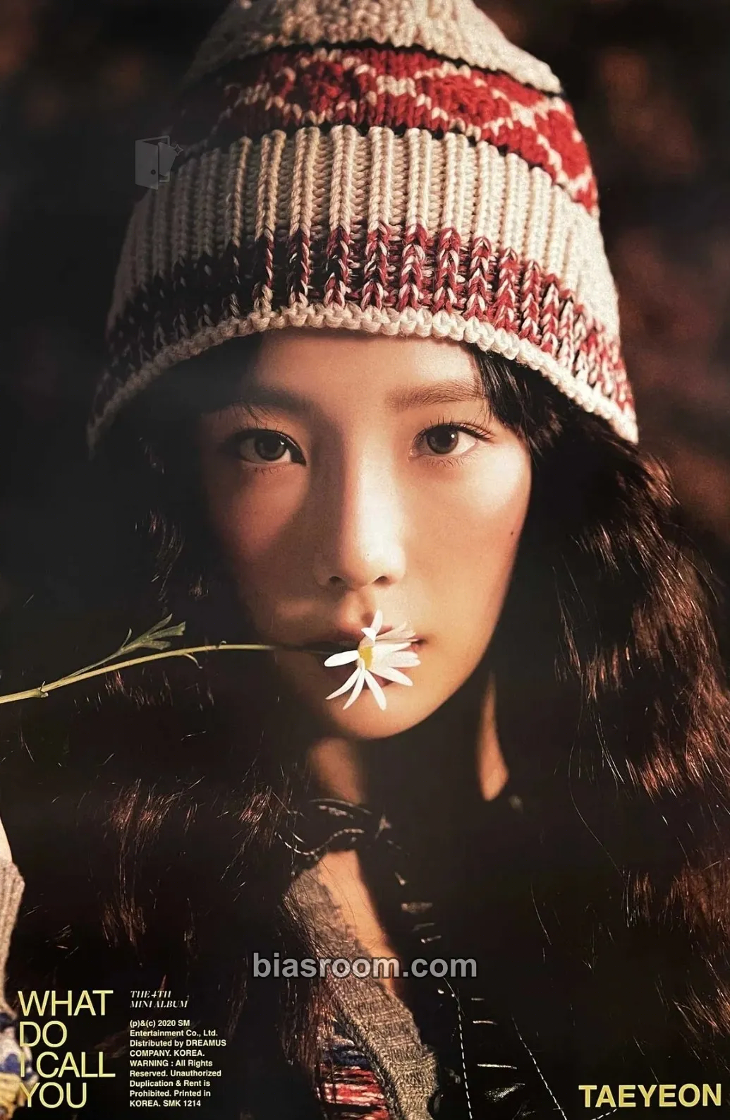 Taeyeon What Do I Call You Photocard - Taeyeon K-pop photocard