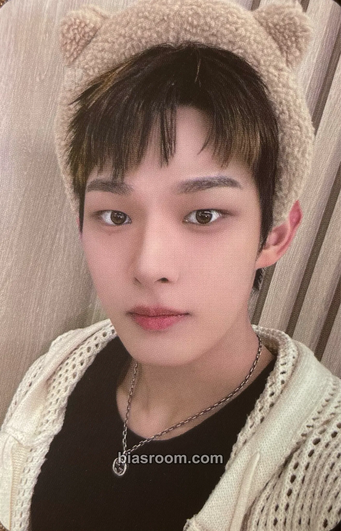 Steven Photocards (AHOF) | Bias Room