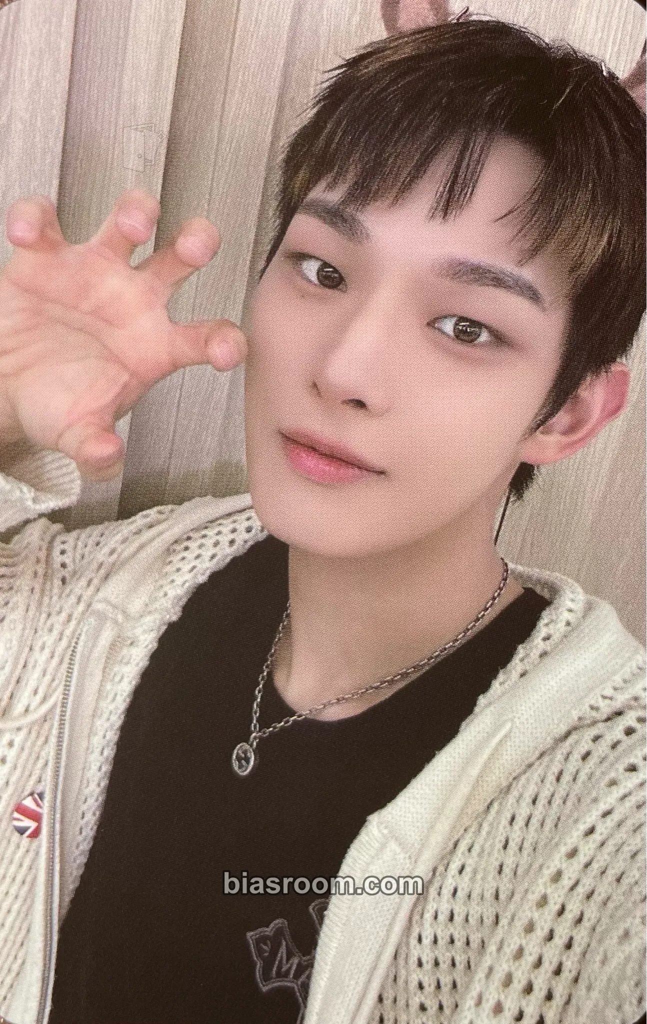 Steven Photocards (AHOF) | Bias Room