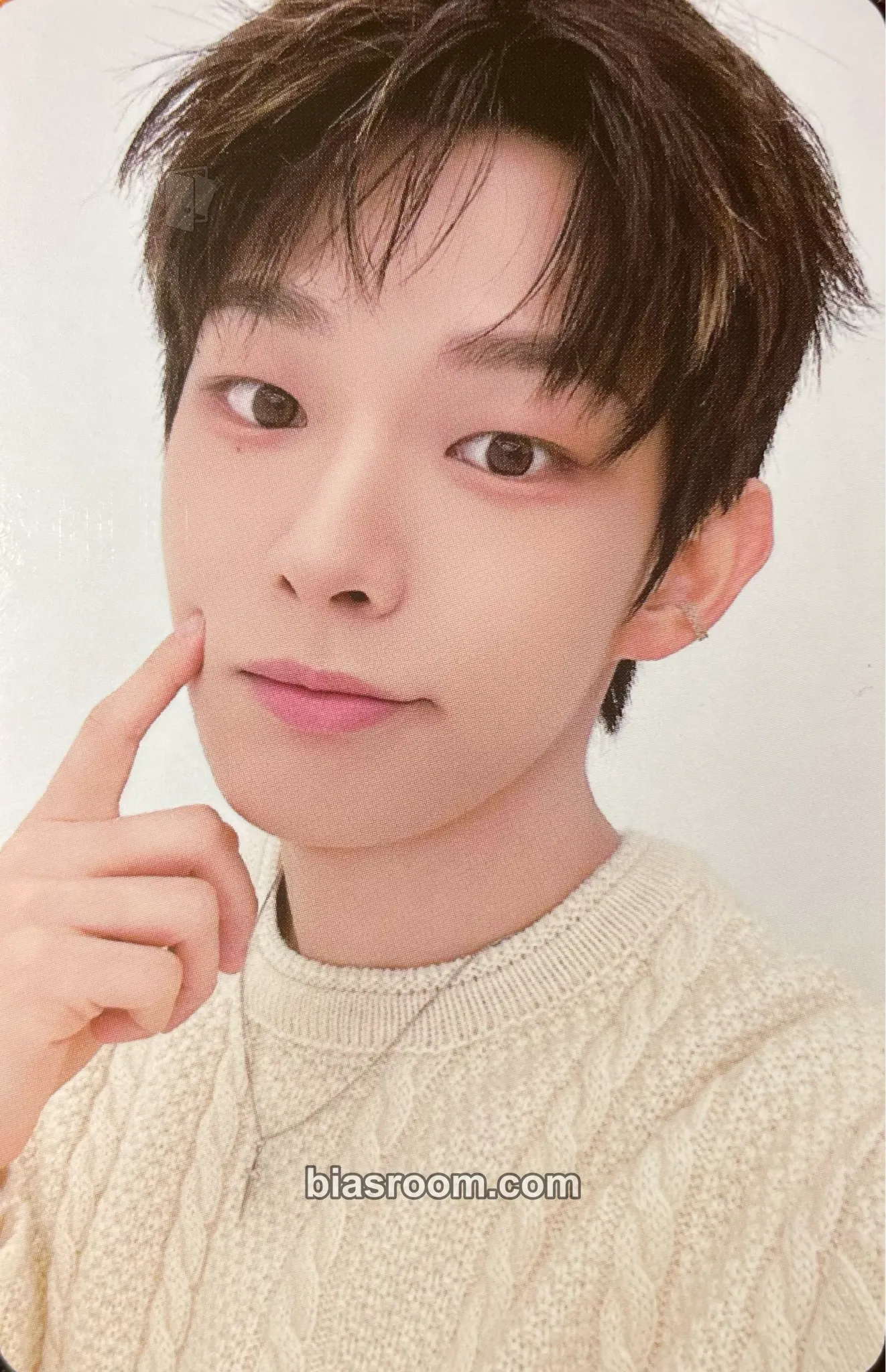 Steven Photocards (AHOF) | Bias Room