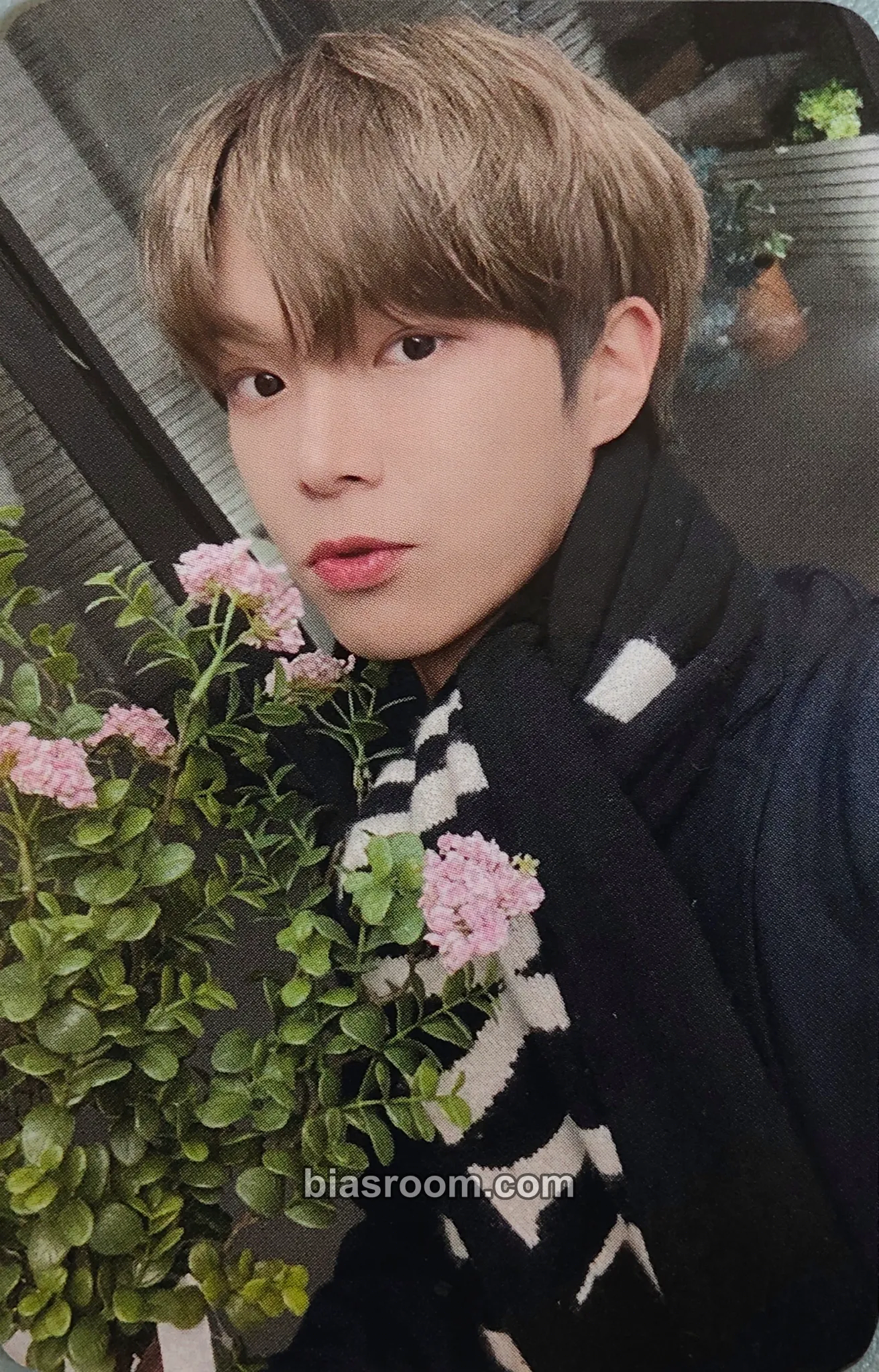 Dongheon Series 'O' Round 2 : Hole Photocard - VERIVERY - VERIVERY K-pop photocard