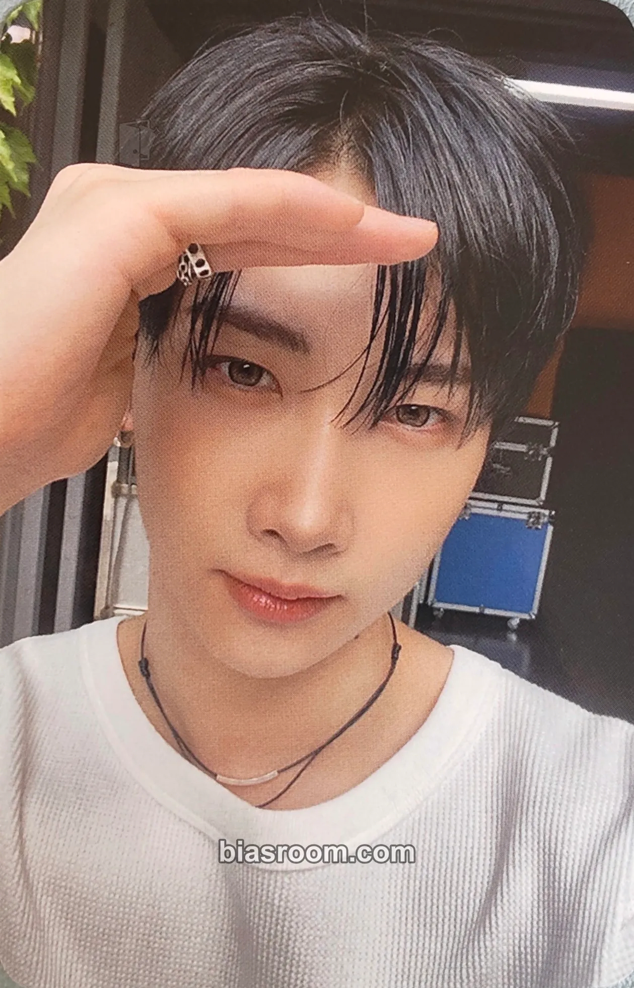 Hoyoung Series 'O' Round 2 : Hole Photocard - VERIVERY - VERIVERY K-pop photocard