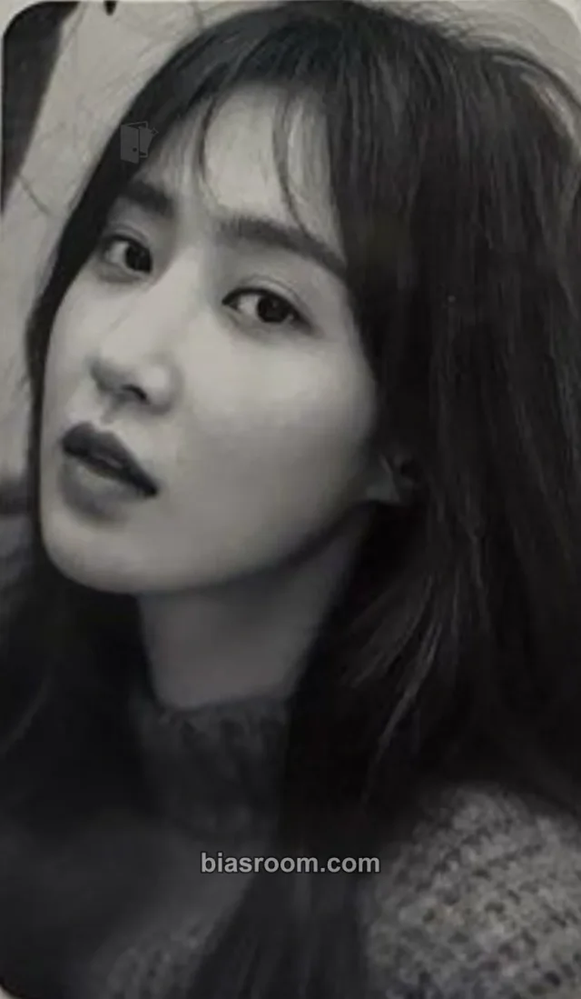 Girls' Generation - Yuri - Oh!GG SEASON'S GREETINGS 2019 Other 11st pob (pre-order benefit) season's greetings