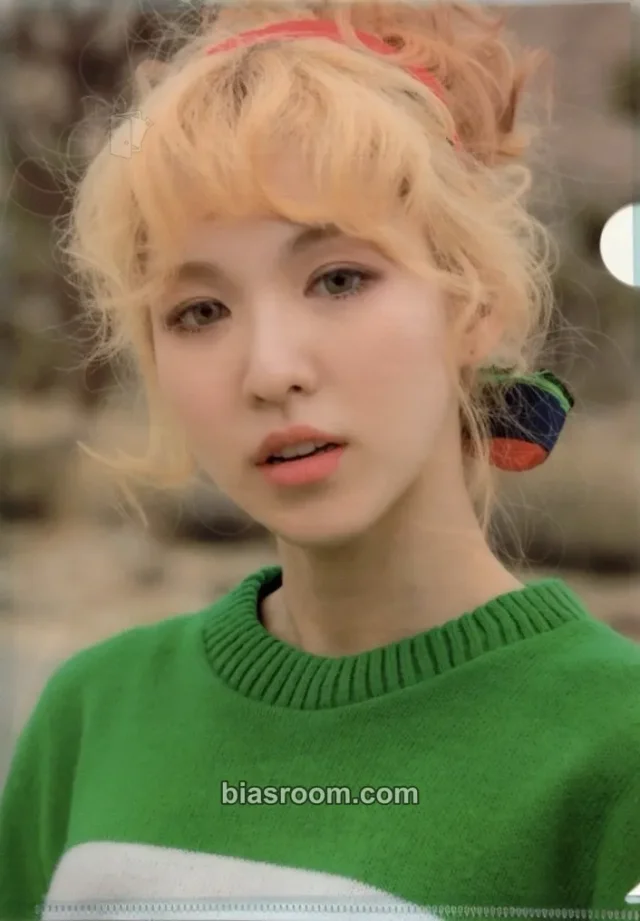 Red Velvet - Wendy - Ice Cream Cake Album L holder merch inclusion