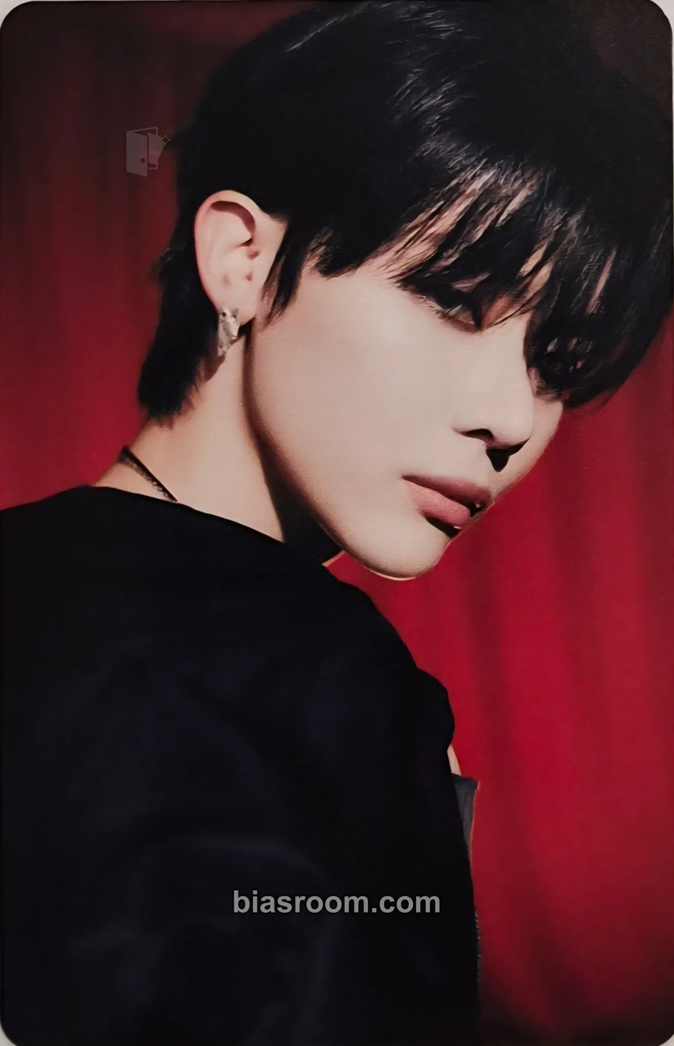 Nicholas Photocards (&TEAM) | Bias Room