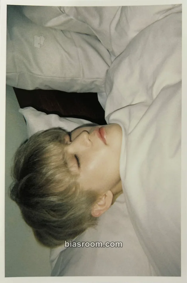 NCT DREAM - Chenle - RO DRØM Photobook Other photo print photobook inclusion horizontal