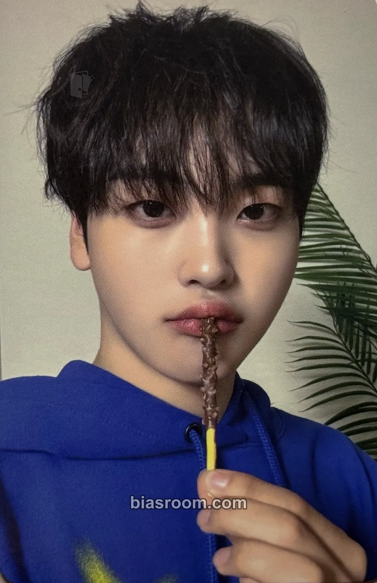Hyeongjun SUN SEEKER Photocard - CRAVITY - CRAVITY K-pop photocard