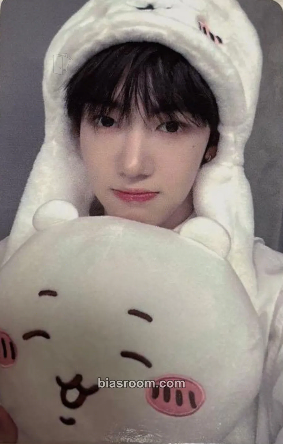 Arctic SET BY US ONLY Photocard - TUNEXX - TUNEXX K-pop photocard