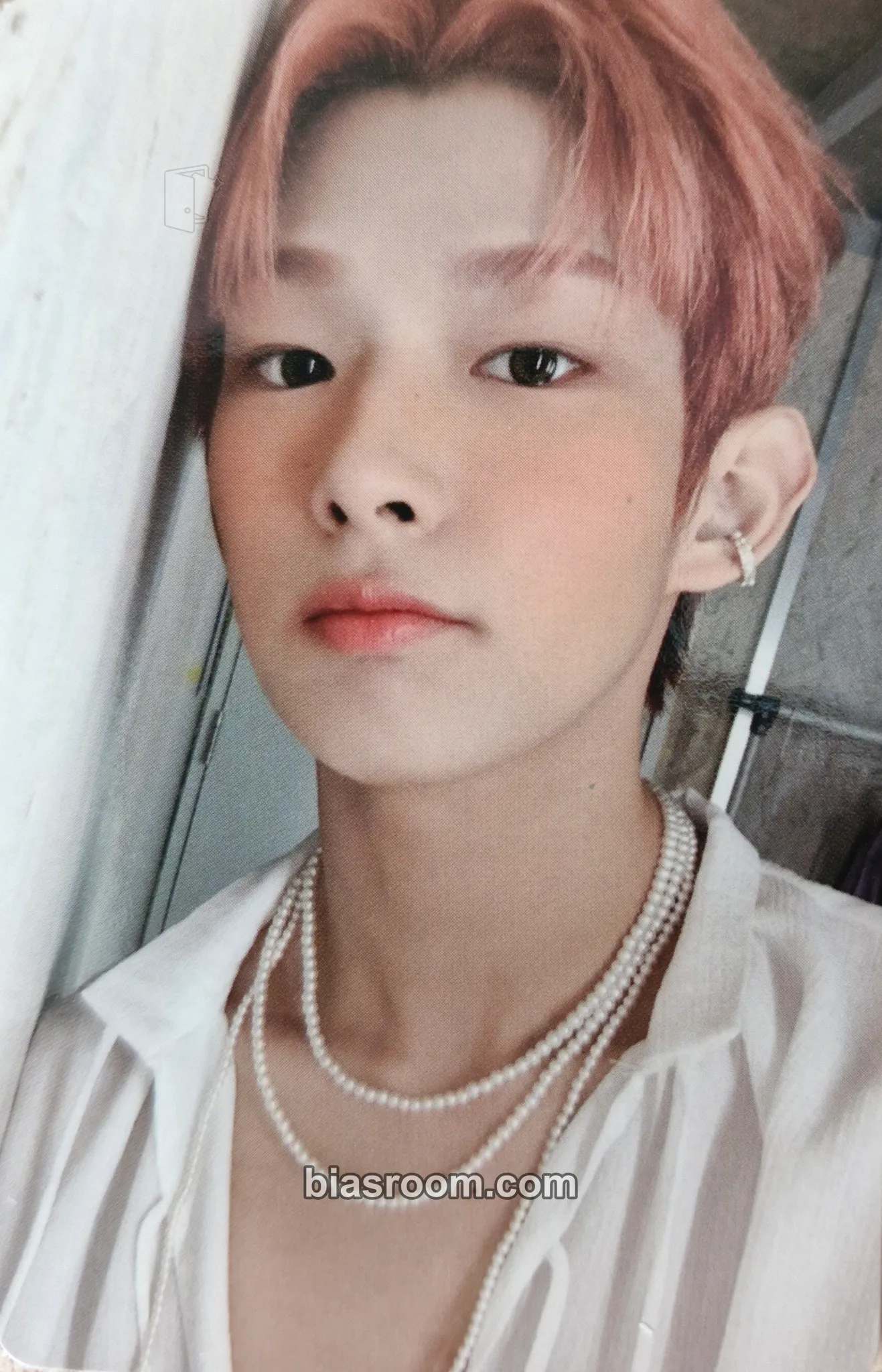 Steven Photocards (AHOF) | Bias Room