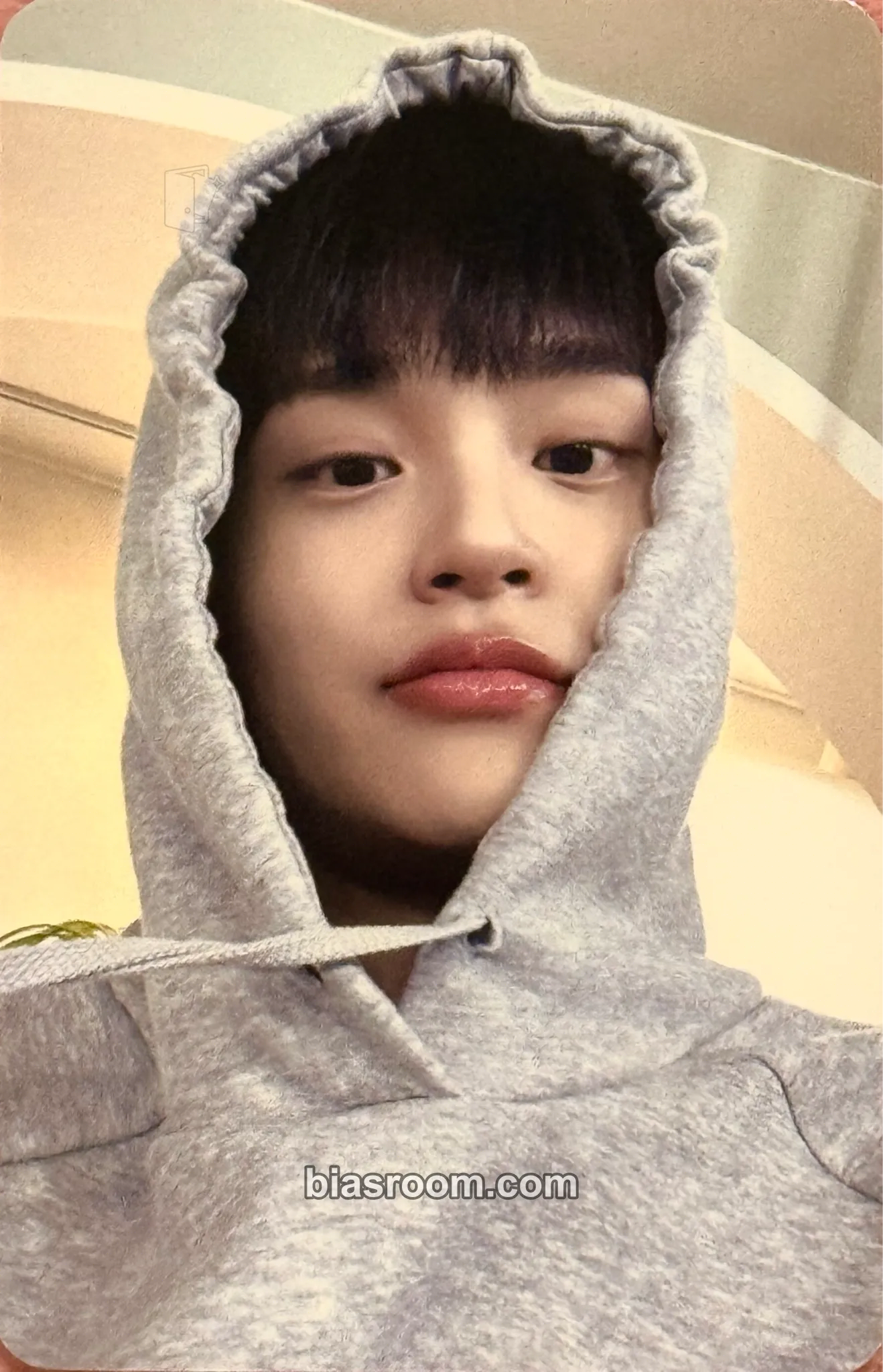 Daehwi BORN LIKE THIS Photocard - AB6IX - AB6IX K-pop photocard
