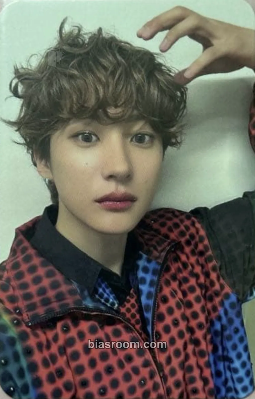 Anton Official Japan Fanclub Photocard - RIIZE - RIIZE K-pop photocard