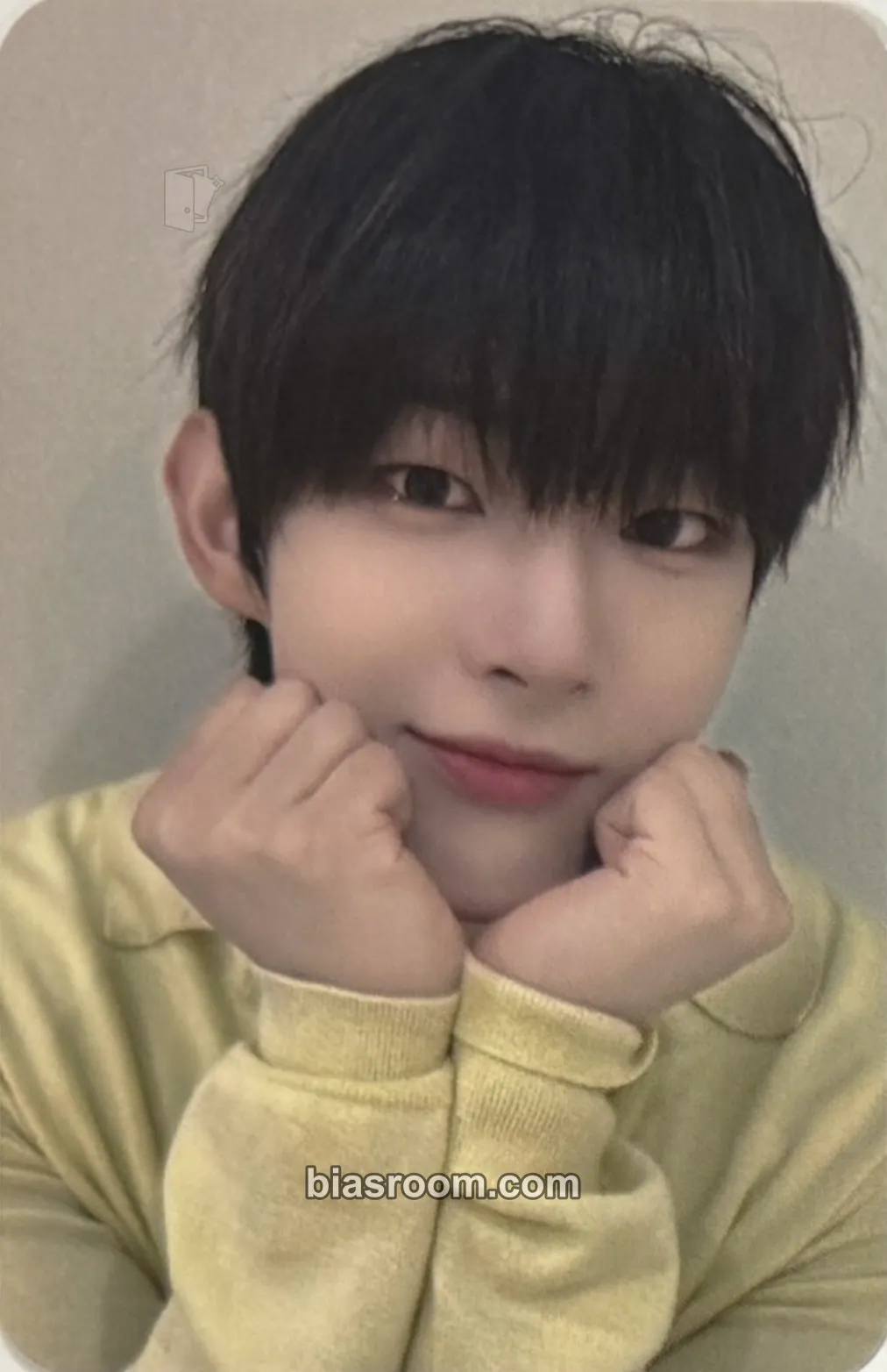 Steven Photocards (AHOF) | Bias Room