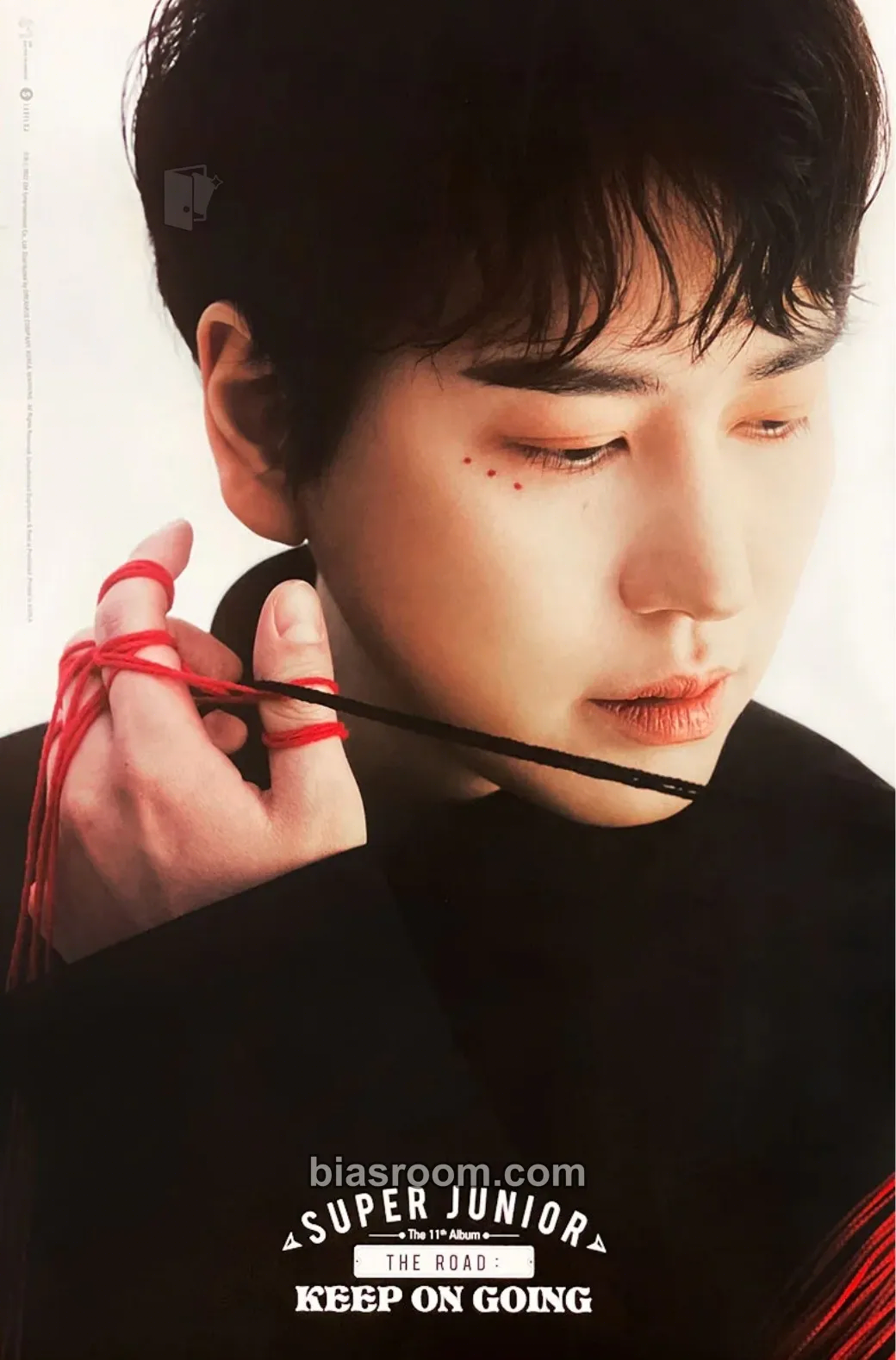 Kyuhyun The Road: Keep On Going Photocard - SUPER JUNIOR - SUPER JUNIOR K-pop photocard