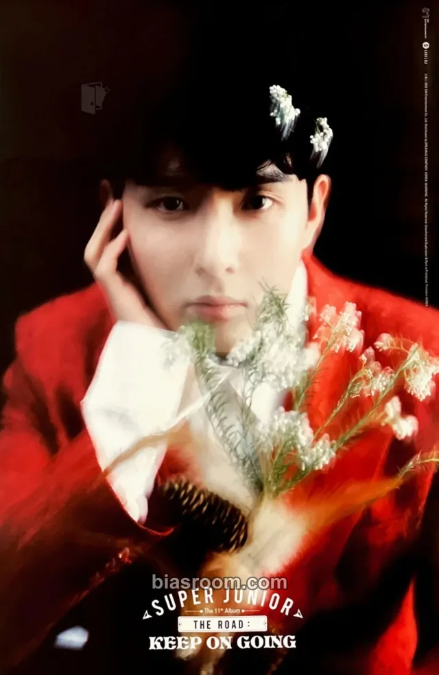 SUPER JUNIOR - Ryeowook - The Road: Keep On Going Album poster street version supplemental